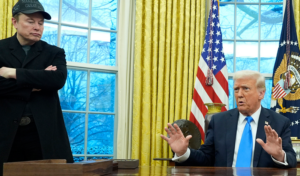 Making DOGE Constitutional