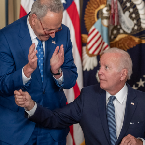 Adverse Energy Taxes in the Inflation Reduction Act