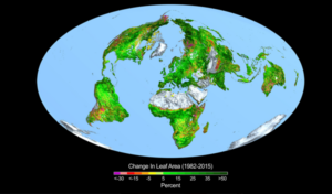 No-cost Climate Litigation and the Law of Unintended Consequences