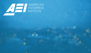 The Paris Agreement and the Costly Pursuit of the Trivial