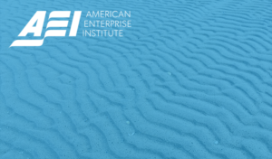 Minimum Standards for Maximum Pricing Constraints